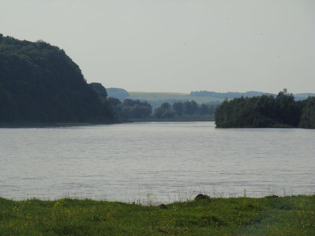 Лука з panoramio.com - Лука