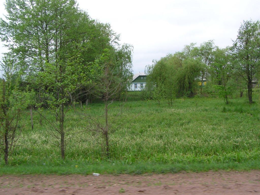 Горщик з panoramio.com - Горщик