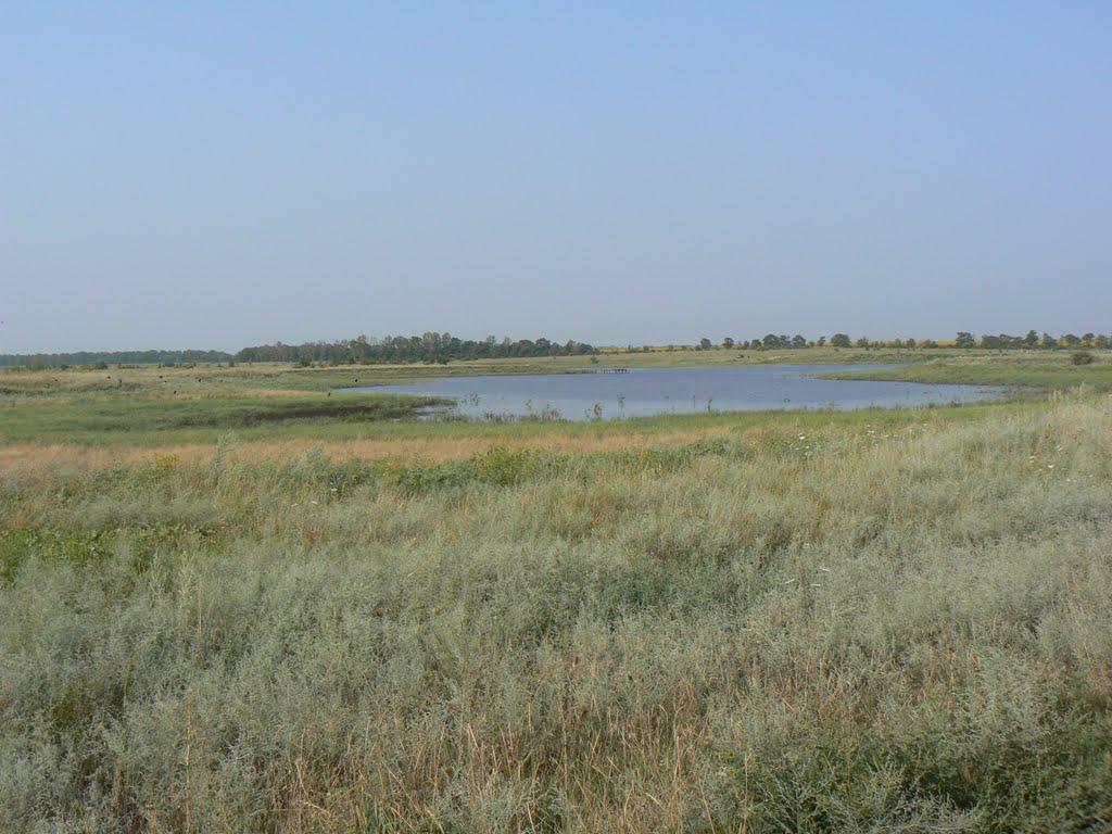 Світле з panoramio.com - Світле