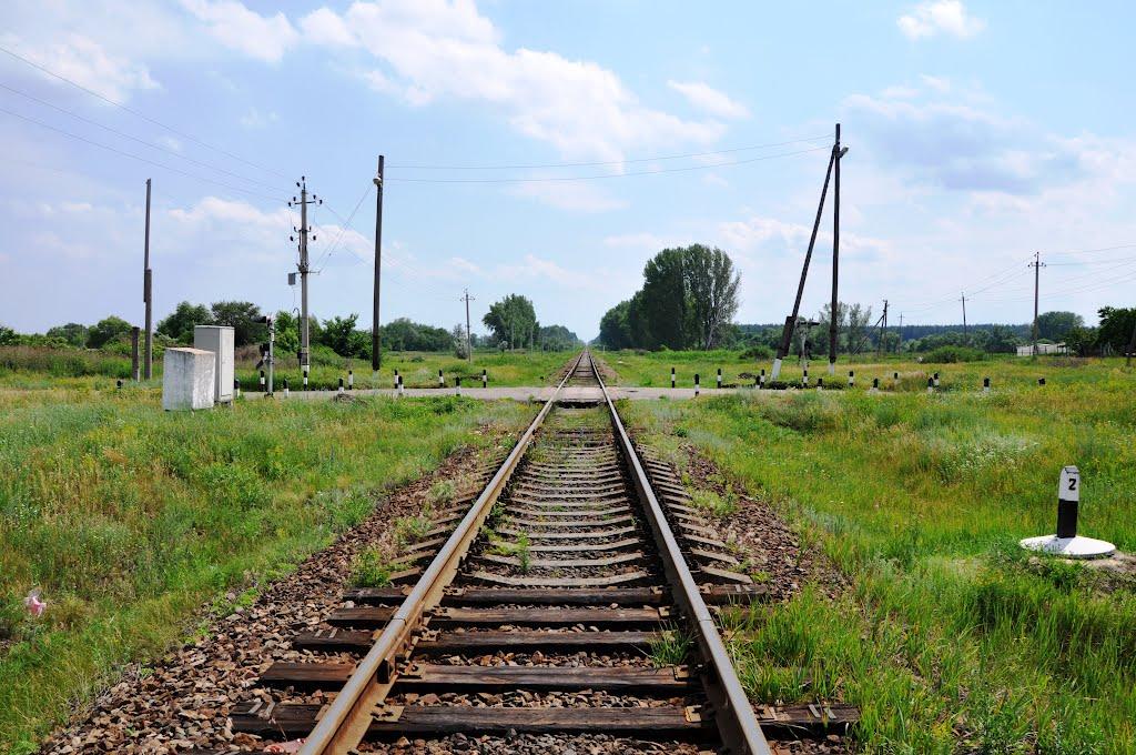 Старобільськ з panoramio.com - Старобельск