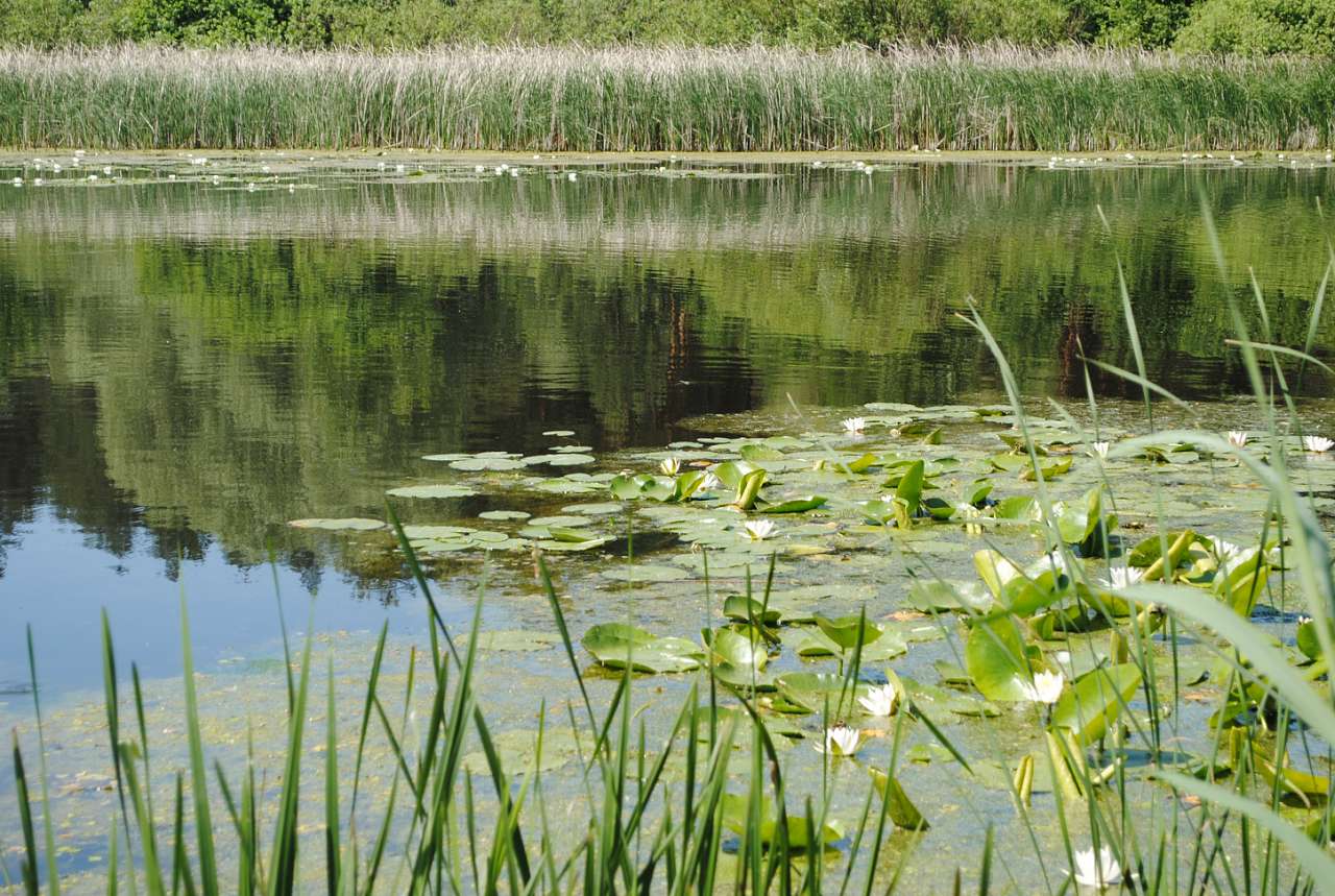По Сулі - Матвеевка