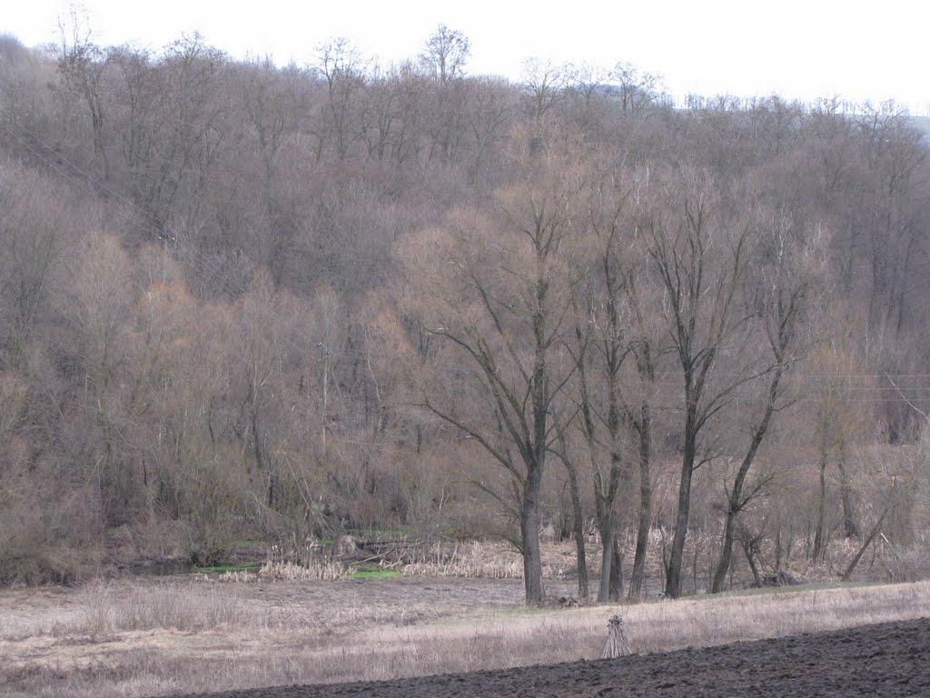 Кип'ячка з panoramio.com - Кипячка