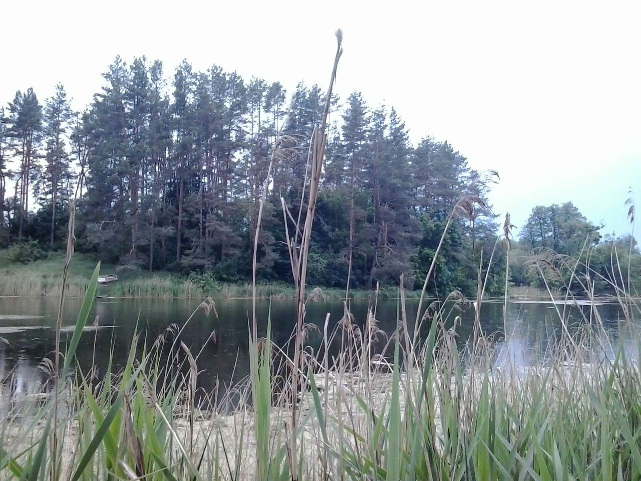 Неграшівський Неграш - Неграши