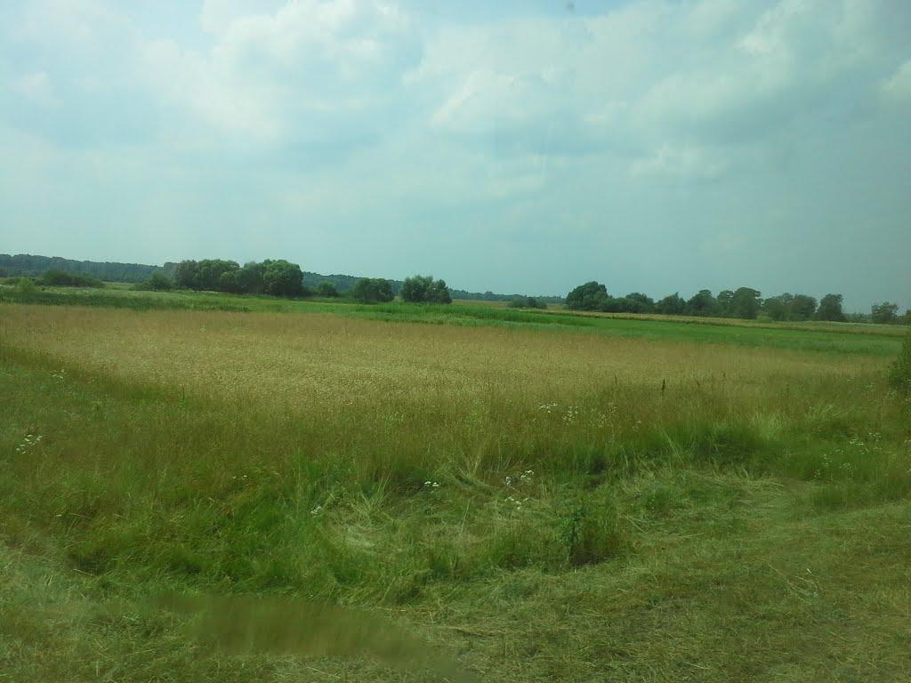 Гайове з panoramio.com - Гайове