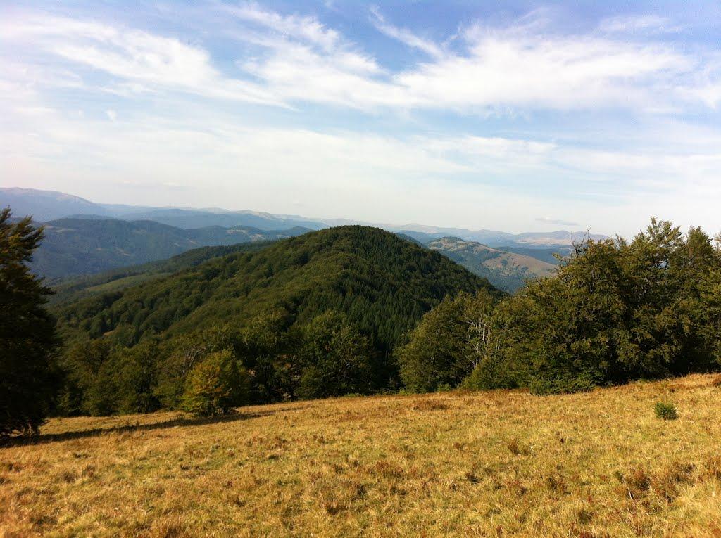 Вільховатий з panoramio.com - Вільховатий