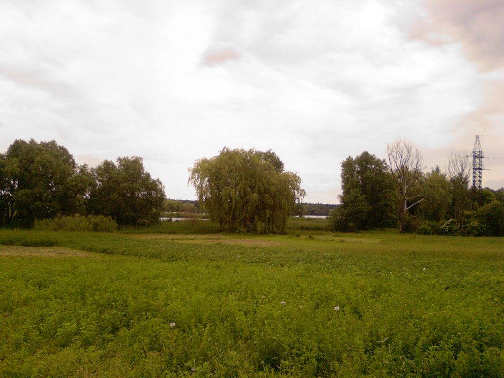 Блощинці з panoramio.com - Блощинці