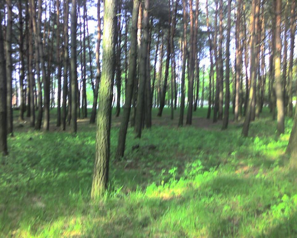 Острог з panoramio.com - Острог
