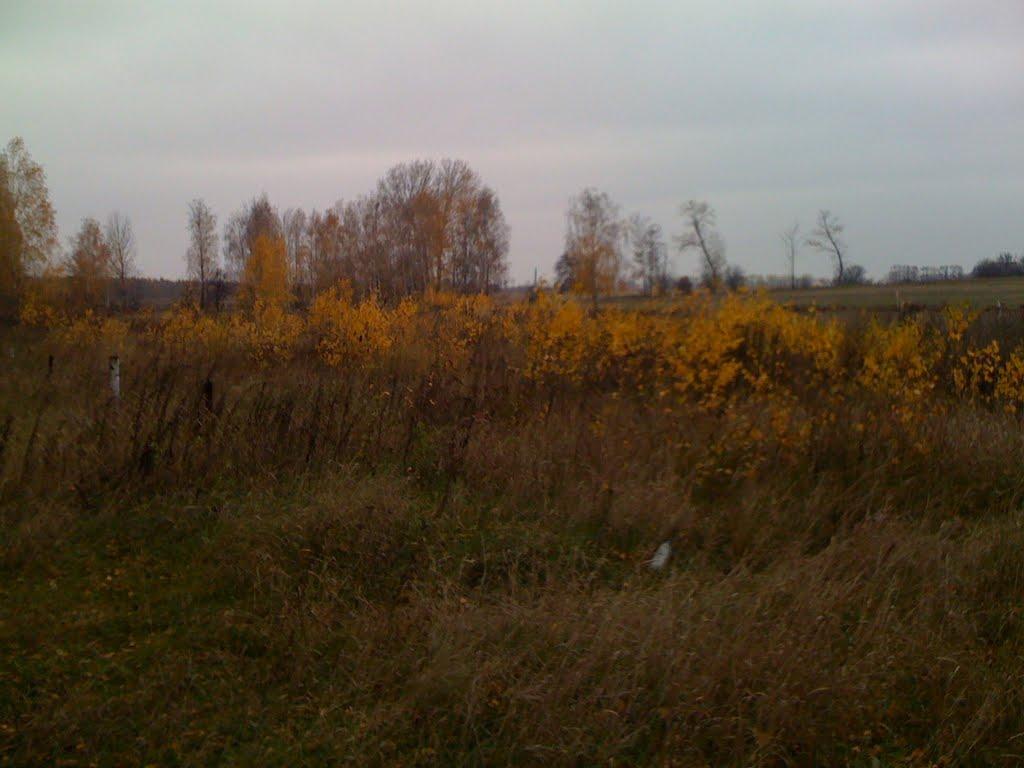 Озера з panoramio.com - Озера