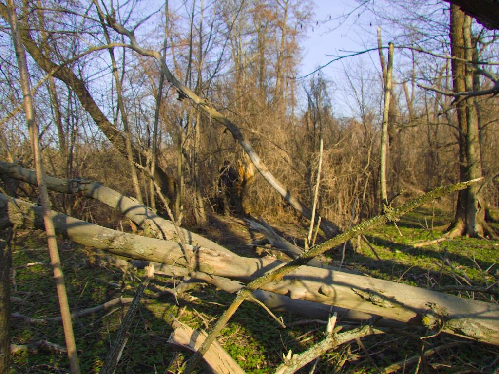 Есхар з panoramio.com - Эсхар