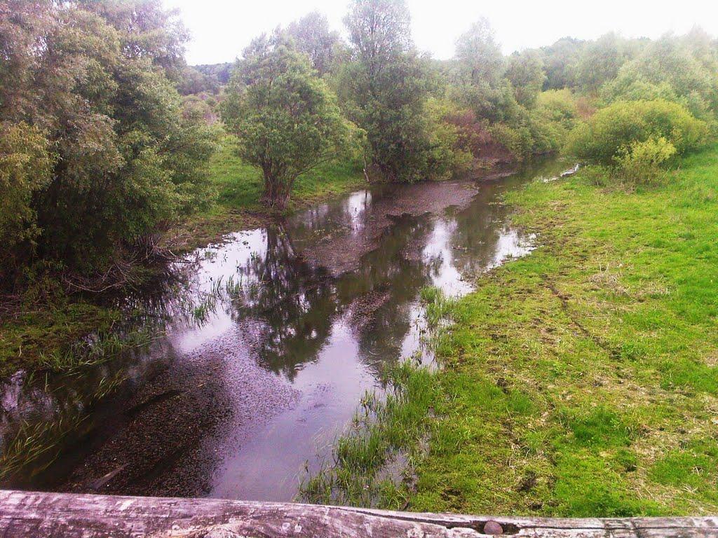 Сасинівка з panoramio.com - Сасинівка