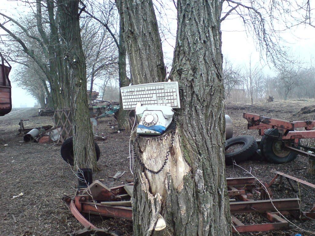 Зарябинка з panoramio.com - Зарябинка