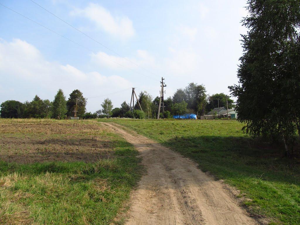 Крутнів з panoramio.com - Krutniv