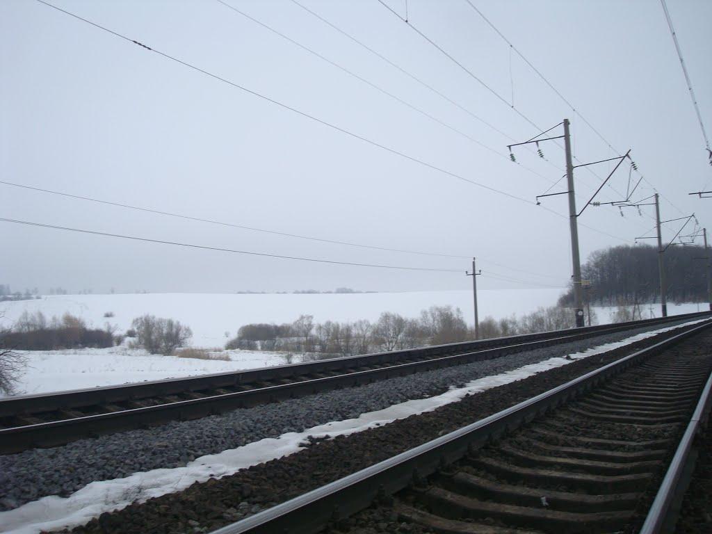 Богданівці з panoramio.com - Bogdanivtsi