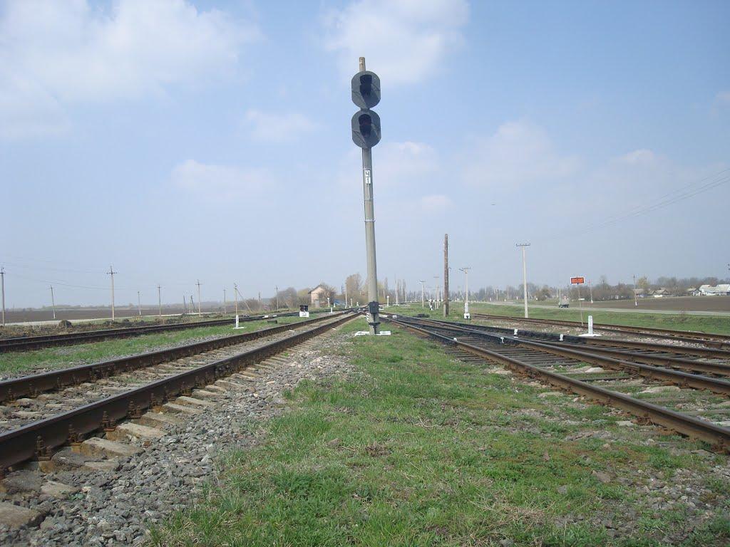 Кременчуки з panoramio.com - Кременчуки