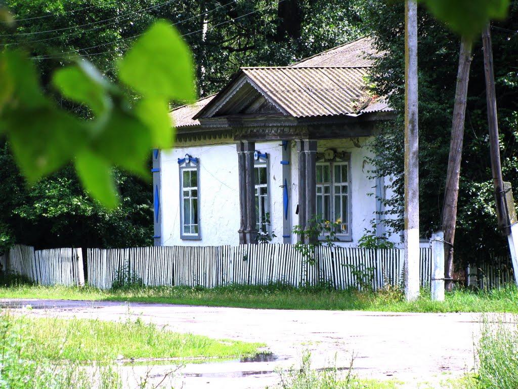 Максимівка з panoramio.com - Максимівка