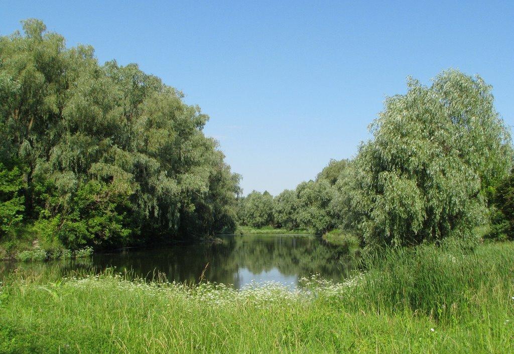 Марківці з panoramio.com - Марковцы