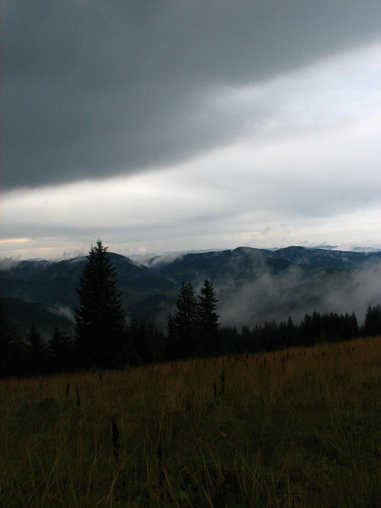 Верхній Яловець з panoramio.com - Верхній Яловець