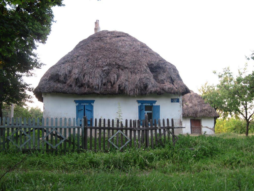 Куцеволівка з panoramio.com - Куцеволівка