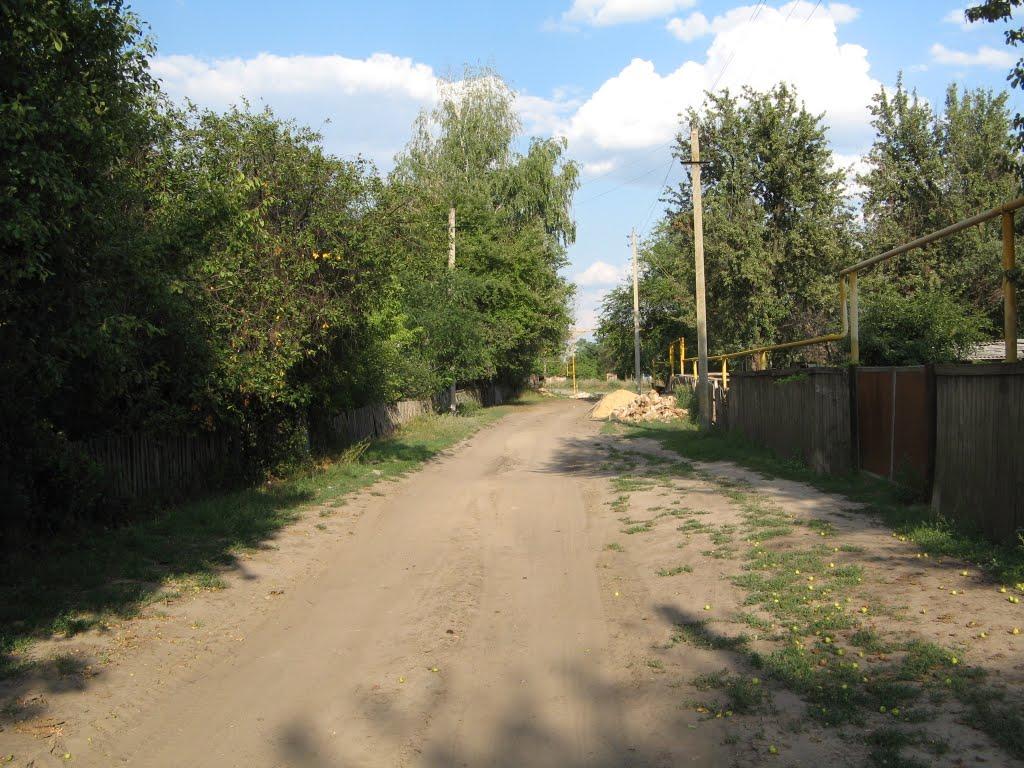 Кружилівка з panoramio.com - Кружиловка