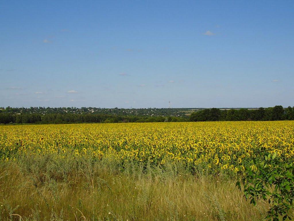Попасна з panoramio.com - Попасна