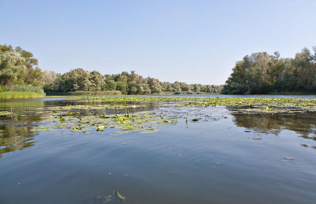 Кушугум з panoramio.com - Кушугум