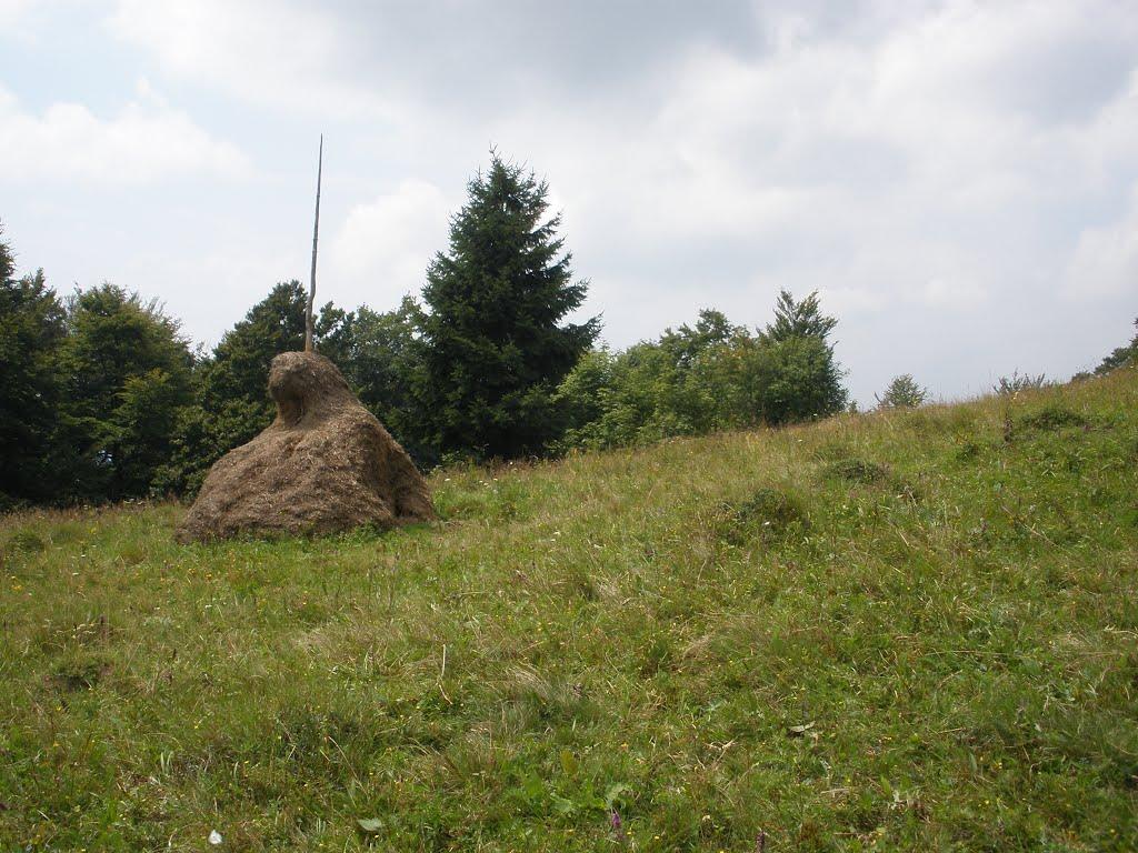 Домашин з panoramio.com - Домашин