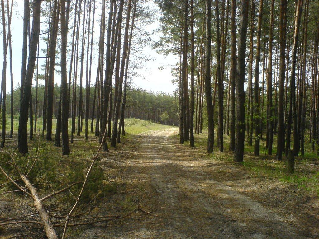 Морозівка з panoramio.com - Морозовка