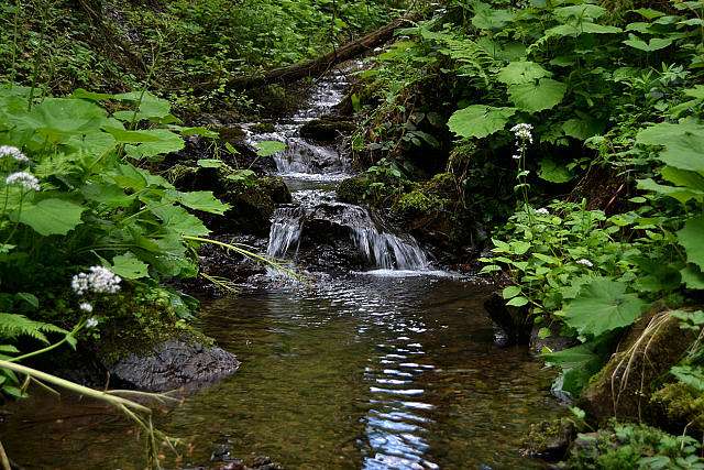 Кіндратів - Kindrativ