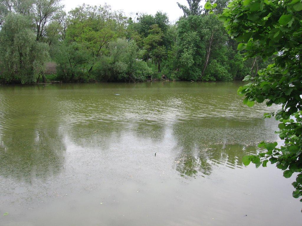 Гоголеве з panoramio.com - Гоголево