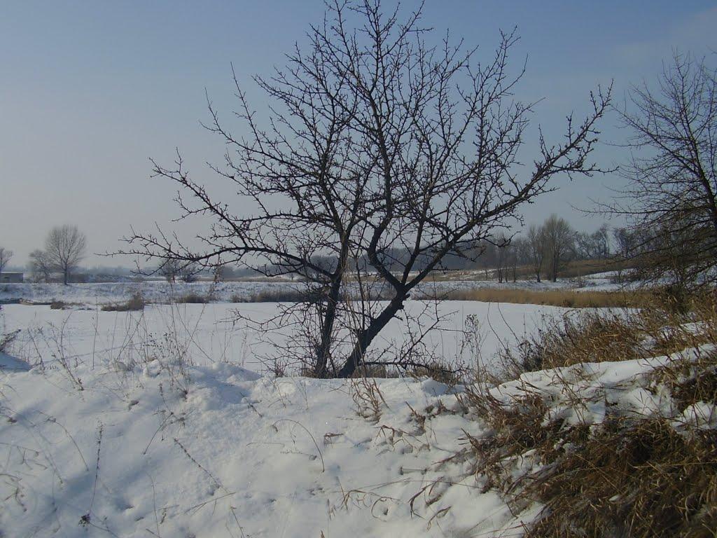 Дослідницьке з panoramio.com - Дослідницьке