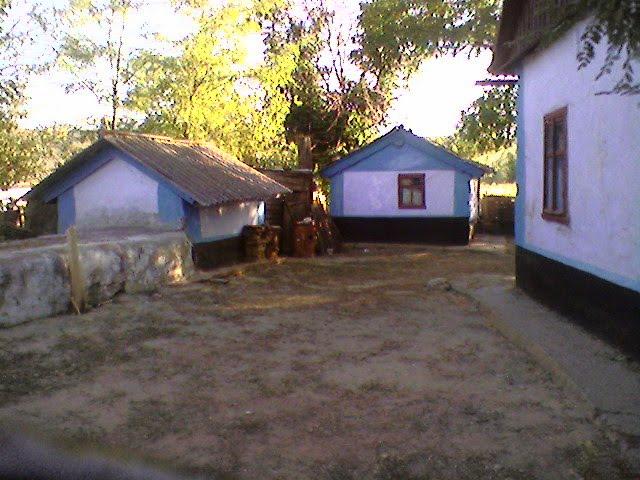 Соше-Острівське з panoramio.com - Соше-Островское