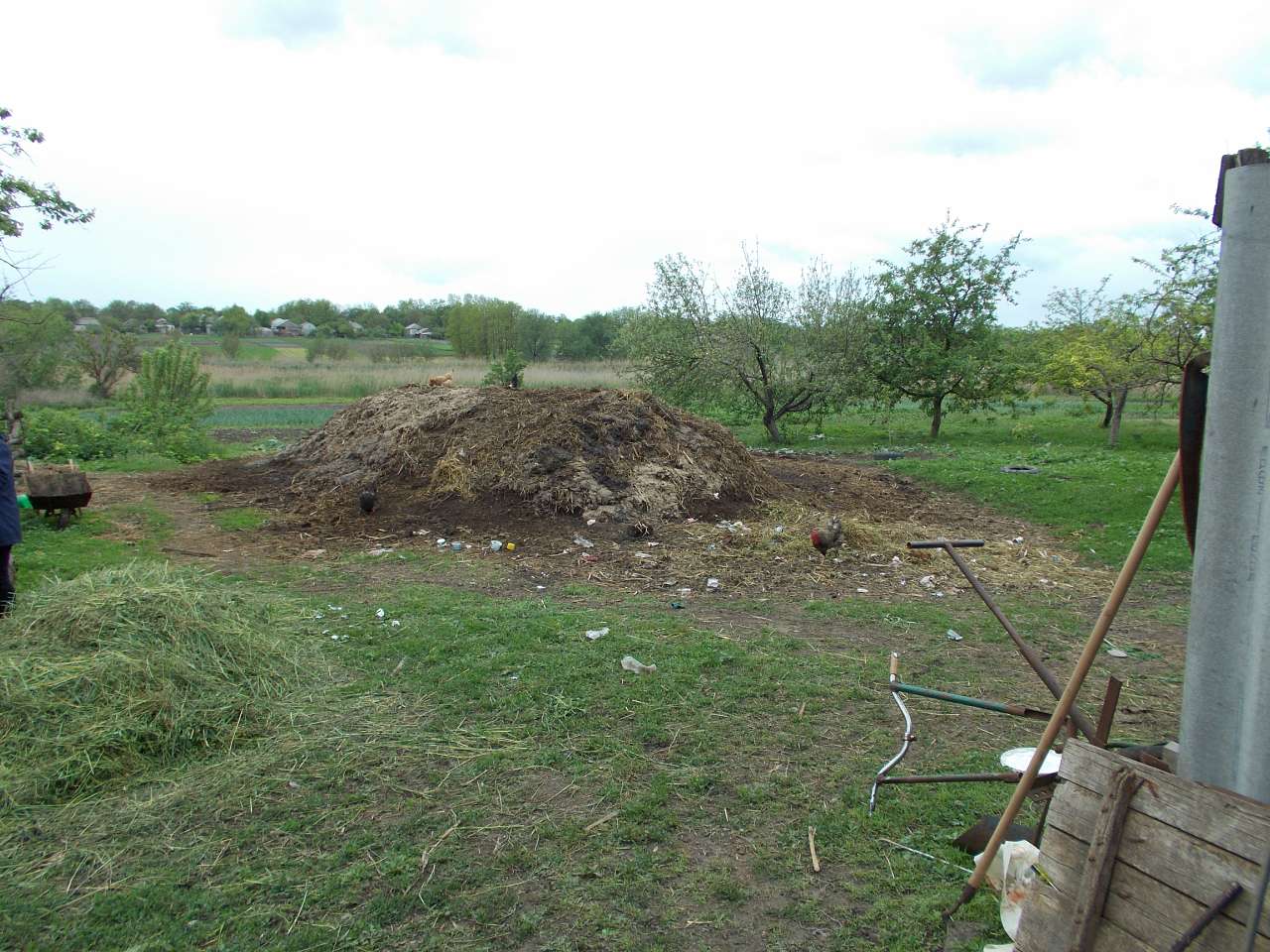 Мої фото - Бурилове