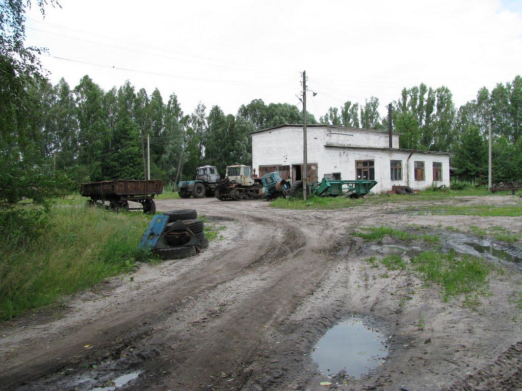 Максимівка з panoramio.com - Максимівка