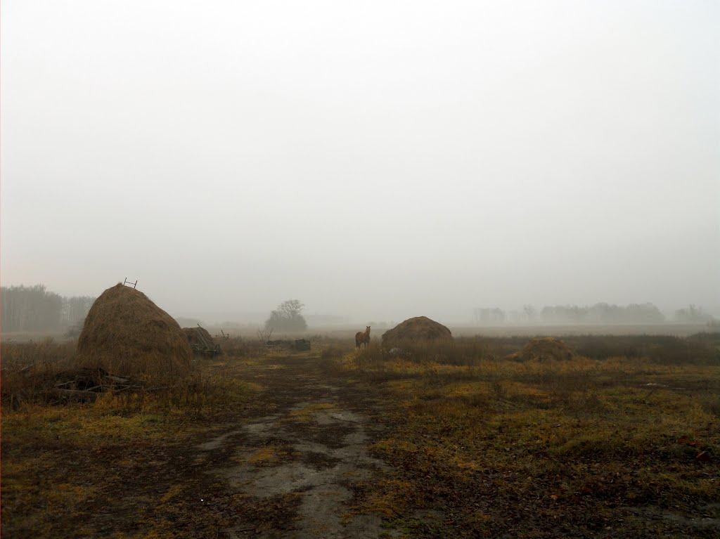 Каціри з panoramio.com - Кочиры