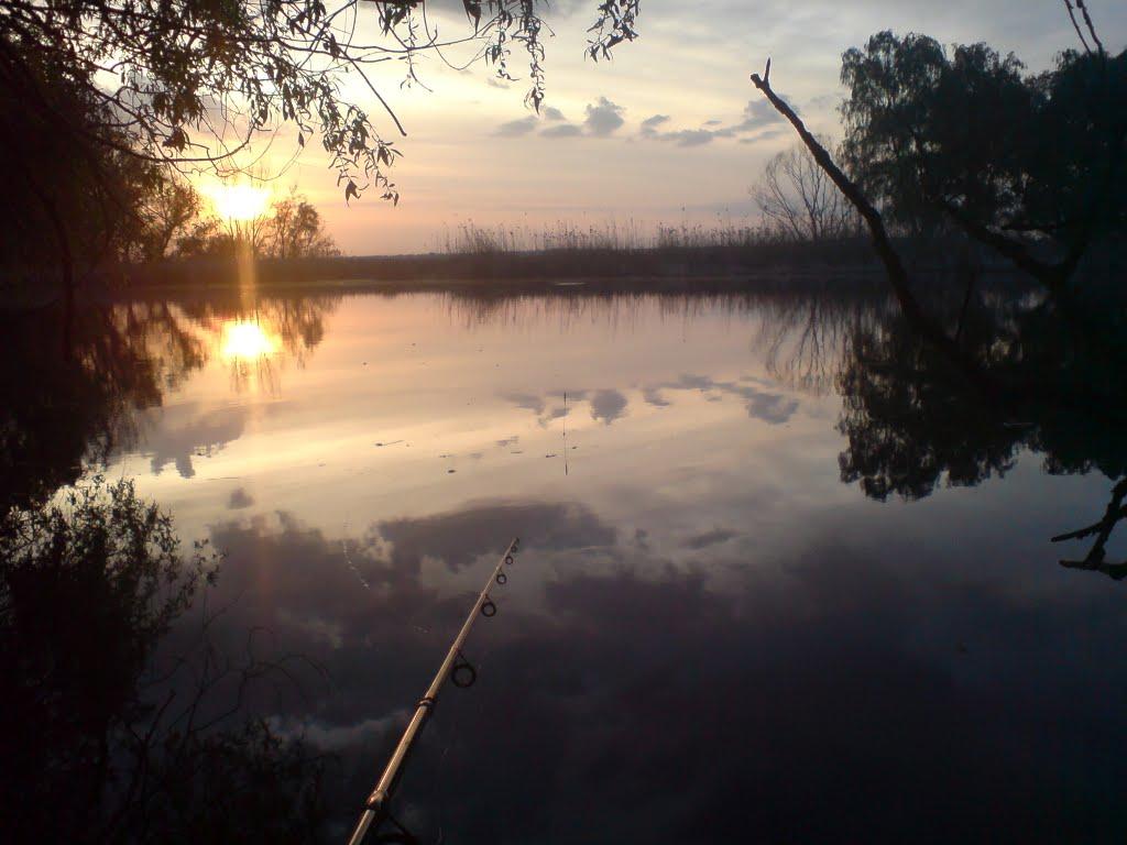 Канівське з panoramio.com - Каневское