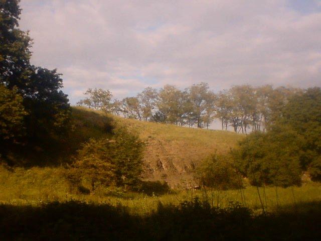 Федорівка з panoramio.com - Федорівка