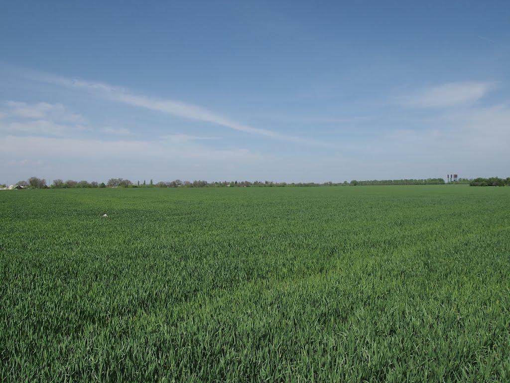 Добровеличківка з panoramio.com - Добровеличківка