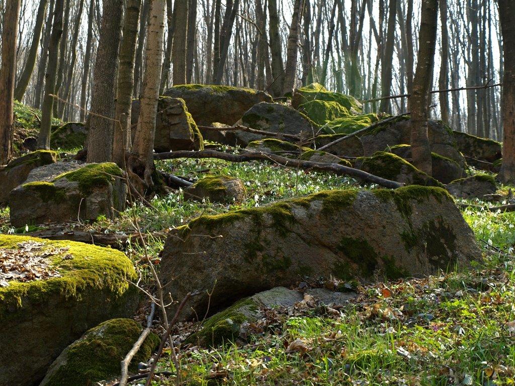 Кліщів з panoramio.com - Кліщів