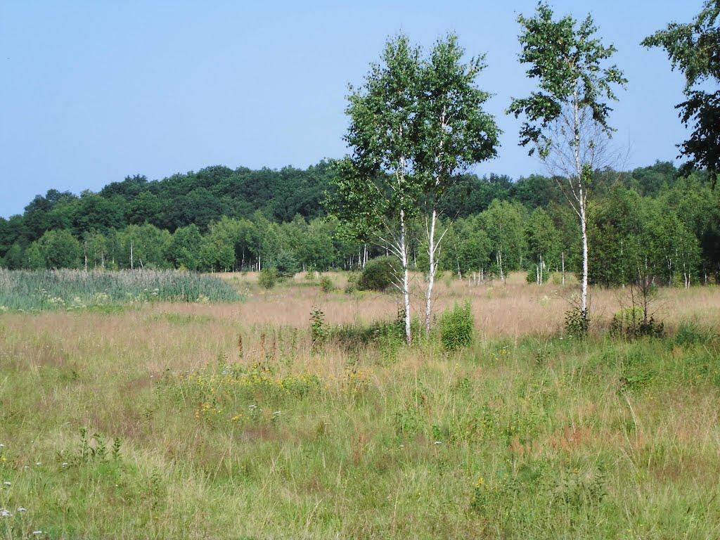 Ганнусине з panoramio.com - Аннусино