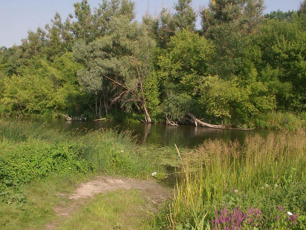 Шпаківка з panoramio.com - Шпаківка