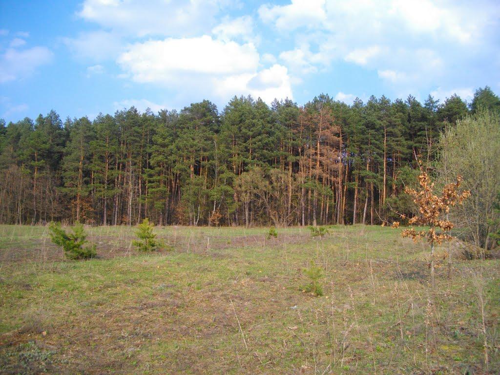 Гайове з panoramio.com - Гайове