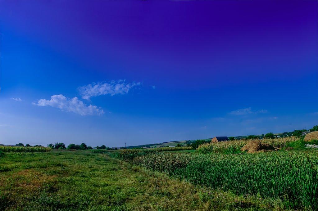 Фрунзівка з panoramio.com - Фрунзовка