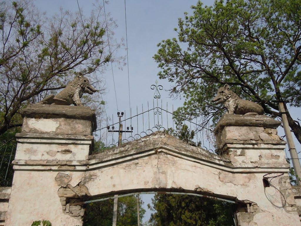 Заводівка з panoramio.com - Заводівка