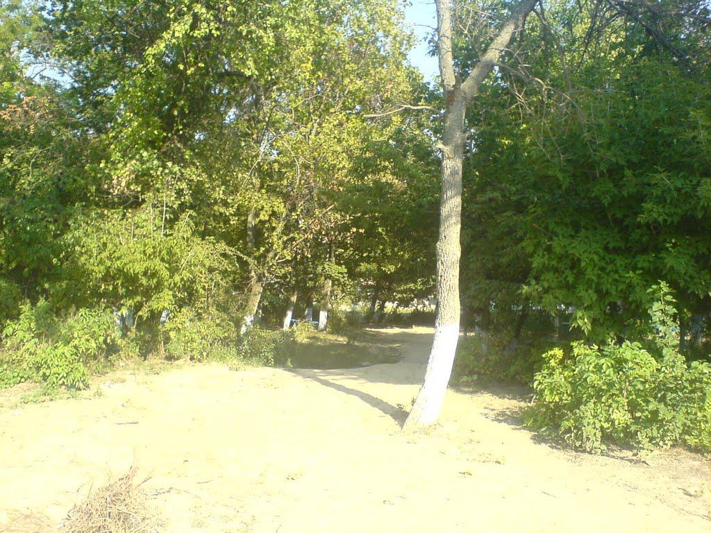 Городнє з panoramio.com - Городнє
