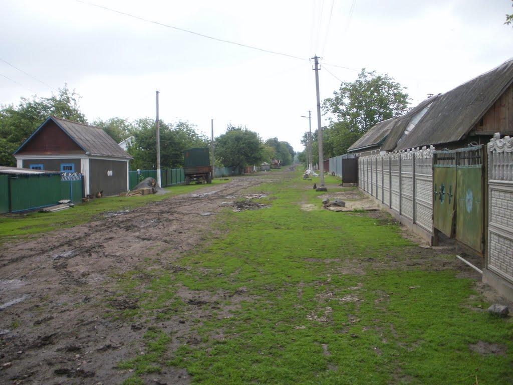 Теліжинці з panoramio.com - Теліжинці