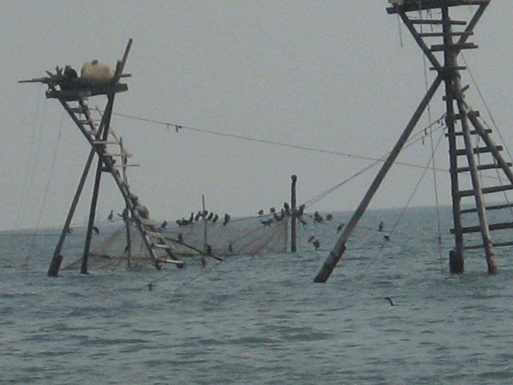 Завітне з panoramio.com - Заветное