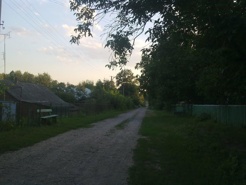 Рясне з panoramio.com - Рясное