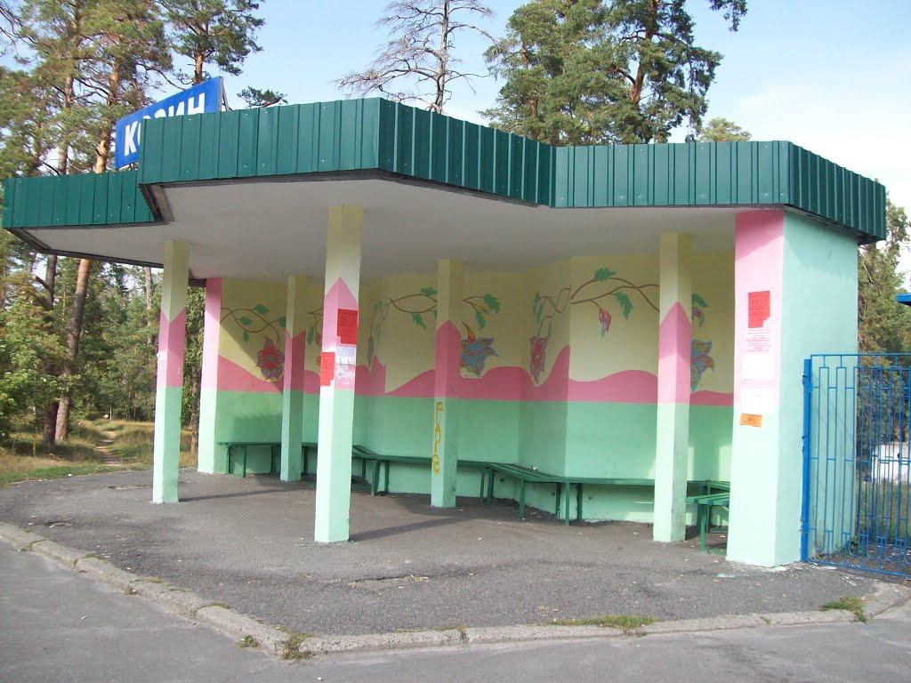 Козин з panoramio.com - Козин