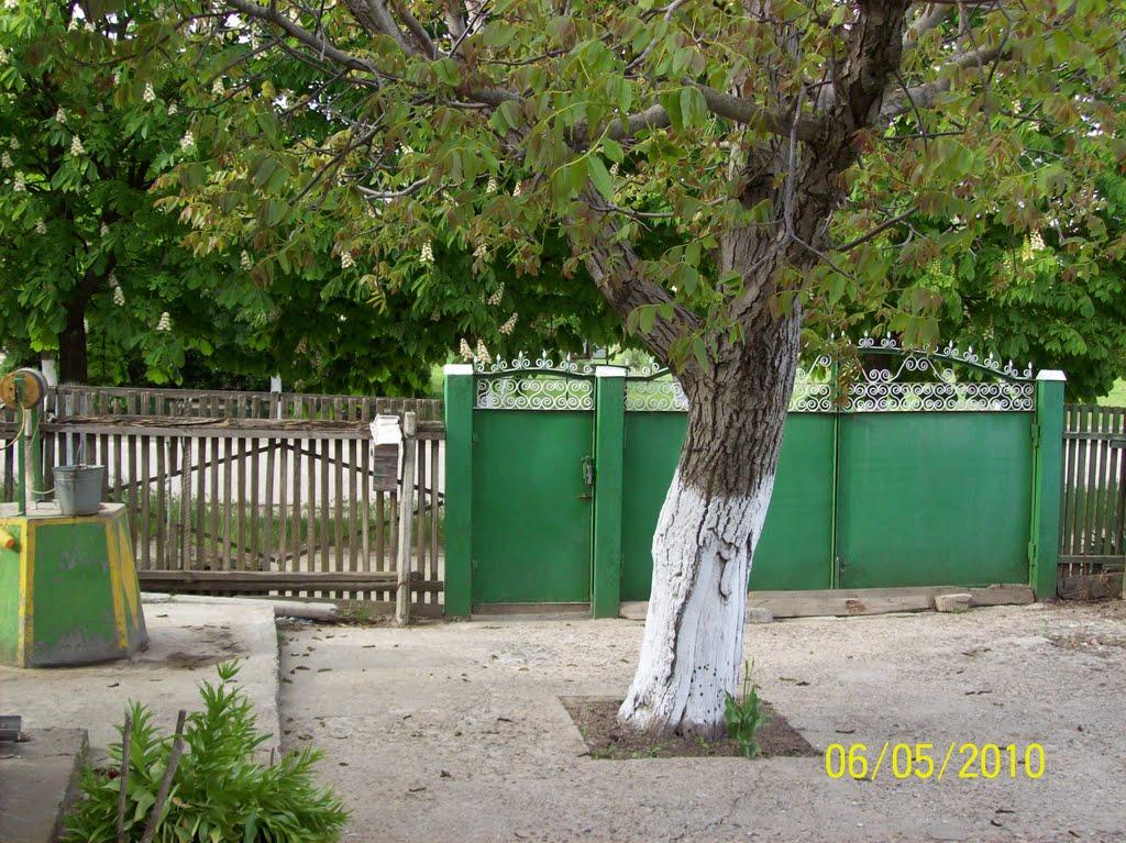 Удобне з panoramio.com - Удобное