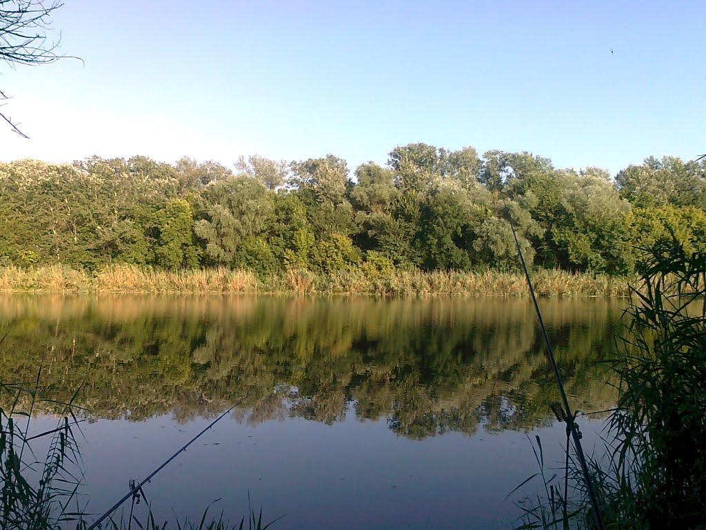 Весела Гора з panoramio.com - Весела Гора
